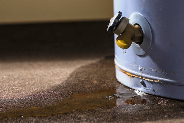 Best Water damage restoration near me  in Mountainside, NJ