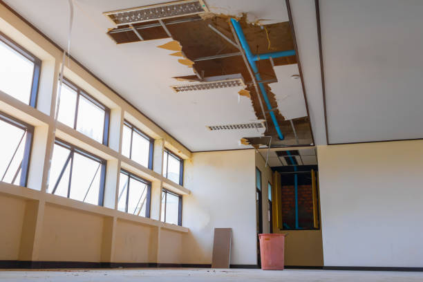 Best 24/7 water damage repair  in Mountainside, NJ