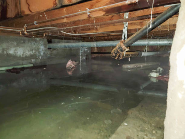 Best Carpet water damage restoration  in Mountainside, NJ