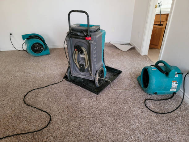 Best Mold removal after water damage  in Mountainside, NJ