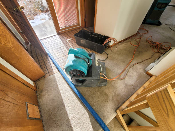 Best Water damage restoration near me  in Mountainside, NJ