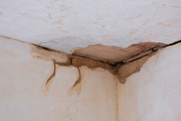 Best Water damage contractors near me  in Mountainside, NJ