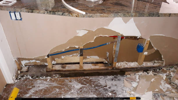 Best Ceiling water damage repair  in Mountainside, NJ