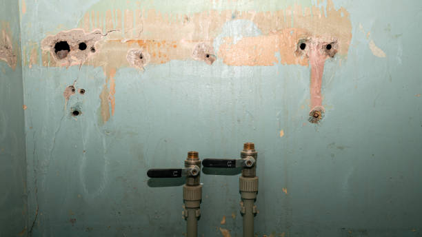 Best Flood damage cleanup  in Mountainside, NJ