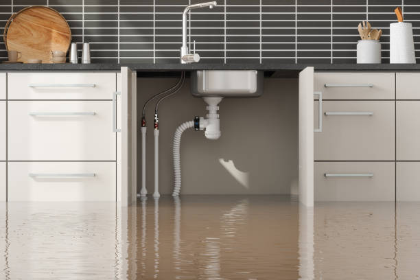 Best Water damage restoration cost  in Mountainside, NJ