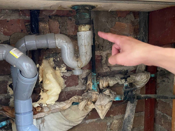 Best 24-hour water damage restoration  in Mountainside, NJ