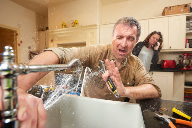 Best Flooded house restoration  in Mountainside, NJ